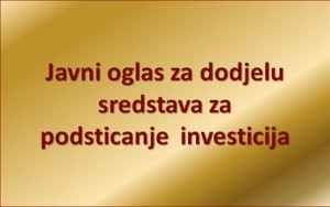 Public Announcement for participation in the procedure of awarding funds for fostering direct investments in Montenegro