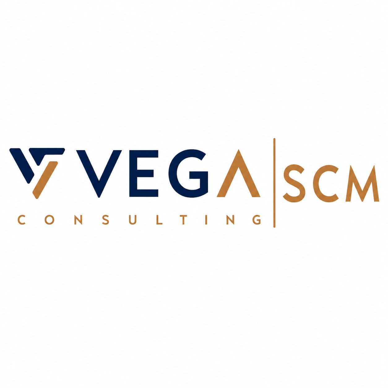 VEGA CONSULTING